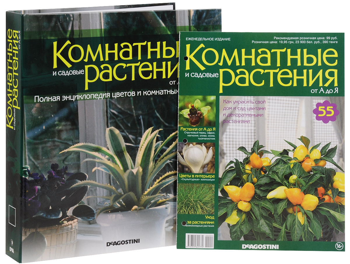 Журнал Комнатные и садовые растения. От А до Я №55VRD055 Журнал Комнатные и садовые растения. От А до Я №55VRD055Хотите сделать приятный и полезный подарок людям, увлекающимся цветоводством, или углубить собственные познания в этой сфере? Коллекция журналов Комнатные и садовые растения. От А до Я поможет вам в этом. Из журнала вы узнаете, как украсить свой дом и сад цветами и декоративными растениями. С изданием вы получите папку для журналов в подарок. Размер папки: 31 см х 28 см х 5 см. Категория 16+.