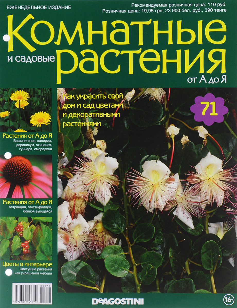Журнал Комнатные и садовые растения. От А до Я №71VRD071 Журнал Комнатные и садовые растения. От А до Я №71VRD071Хотите сделать приятный и полезный подарок людям, увлекающимся цветоводством, или углубить собственные познания в этой сфере? Коллекция журналов Комнатные и садовые растения. От А до Я поможет вам в этом. Из журнала вы узнаете, как украсить свой дом и сад цветами и декоративными растениями. Категория 16+.