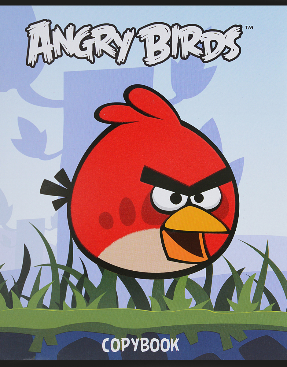 Hatber Тетрадь Angry Birds 48 листов в клетку цвет голубой48Т5флB1_10348 Hatber Тетрадь Angry Birds 48 листов в клетку цвет голубой48Т5флB1_10348Тетрадь Hatber Angry Birds отлично подойдет для занятий школьнику или студенту. Обложка, выполненная из плотного картона, позволит сохранить тетрадь в аккуратном состоянии на протяжении всего времени использования. Изделие оформлено бархатистым изображением злой птички. Внутренний блок тетради, соединенный скрепками, состоит из 48 листов белой бумаги в голубую клетку с полями.