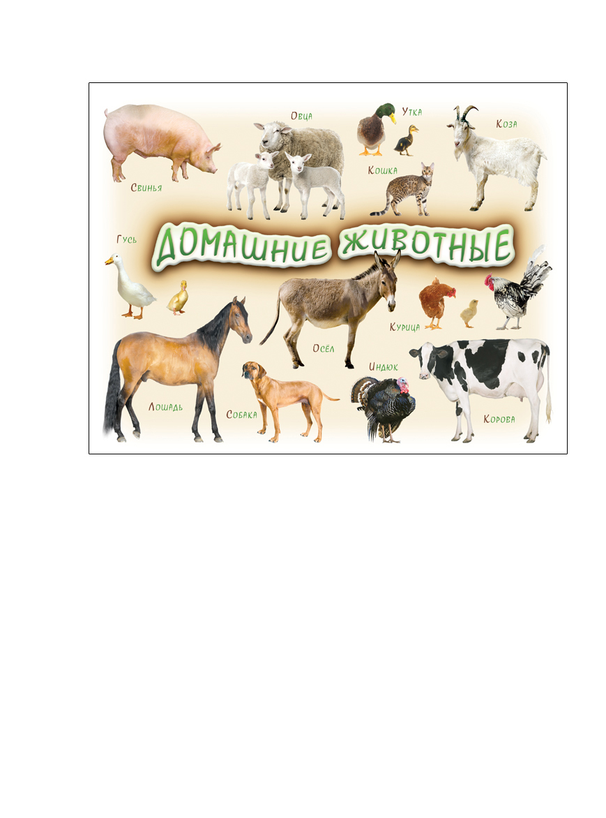 Шпаргалки для мамы Обучающая игра Домашние животные 1-4 года824 Шпаргалки для мамы Обучающая игра Домашние животные 1-4 года824Виниловый магнит на холодильник заметно облегчает процесс изучения знакомства с животными. Купите магнит на холодильник «Домашние животные 1-4 года», и Вы получите лист формата А4 с фотографиями животных для детей. Делаем удобным изучение животных!