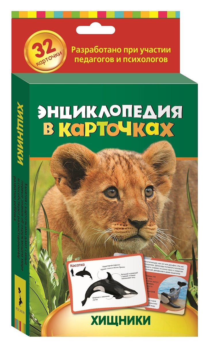 Росмэн Энциклопедия в карточках Хищники25195 Росмэн Энциклопедия в карточках Хищники25195Это уникальная серия развивающих карточек для малышей. Красочные фотографии привлекут внимание ребенка, занимательные факты дадут ответы на множество вопросов, которые так любят задавать дети. Карточки содержат познавательную информацию об окружающем мире, подобранную с учетом особенностей восприятия и мышления ребенка от 4 лет.