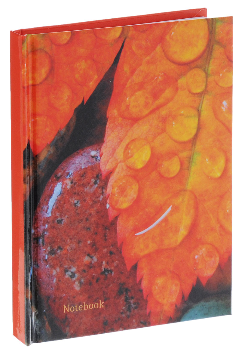 Listoff Записная книжка Осенние листья 80 листов в клеткуКЗ6801856 Listoff Записная книжка Осенние листья 80 листов в клеткуКЗ6801856Записные книжки призваны хранить в себе важную информацию на долгое время, поэтому нужно обязательно позаботиться, чтобы она была удобной для постоянного ношения с собой, стильной - потому что, на этот аксессуар обязательно обратят внимание окружающие. Обложка книжки для записей, выполненная из картона, оформлена красочным изображением. Внутренний блок формата А6 содержит 80 листов белой бумаги в клетку. Записная книжка Listoff Осенние листья- отличный подарок коллеге или деловому партнеру.