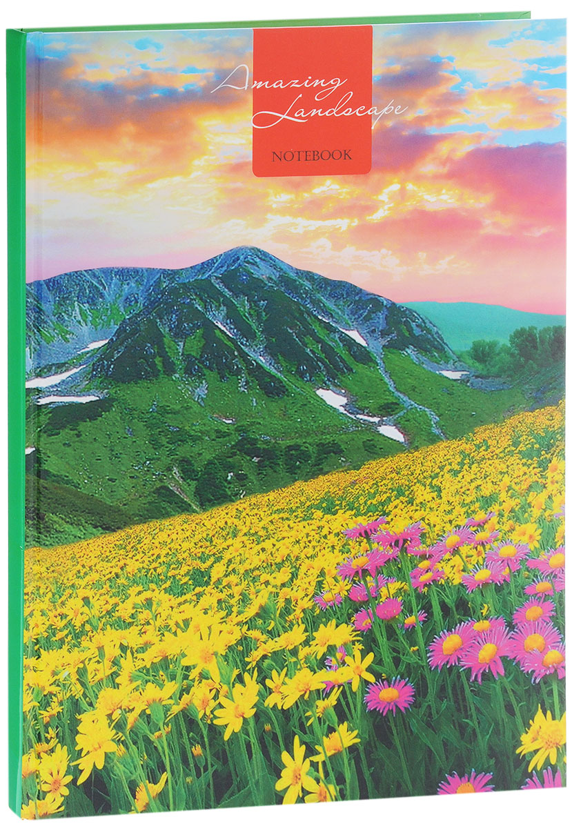 Listoff Записная книжка Цветущая долина 80 листов в клеткуКЗ4801699 Listoff Записная книжка Цветущая долина 80 листов в клеткуКЗ4801699Записная книжка Listoff Цветущая долина - незаменимый атрибут современного человека, необходимый для рабочих и повседневных записей в офисе и дома. Записная книжка содержит 80 листов формата А4 в клетку. Обложка, выполненная из плотного картона, оформлена ярким изображением, что обеспечит индивидуальность и визуальную притягательность. А глянцевая ламинация придает блеск обложке. Прошитый внутренний блок гарантирует полное отсутствие потери листов. Записная книжка Listoff Цветущая долина станет достойным аксессуаром среди ваших канцелярских принадлежностей. Она подойдет как для деловых людей, так и для любителей записывать свои мысли, рисовать скетчи, делать наброски.