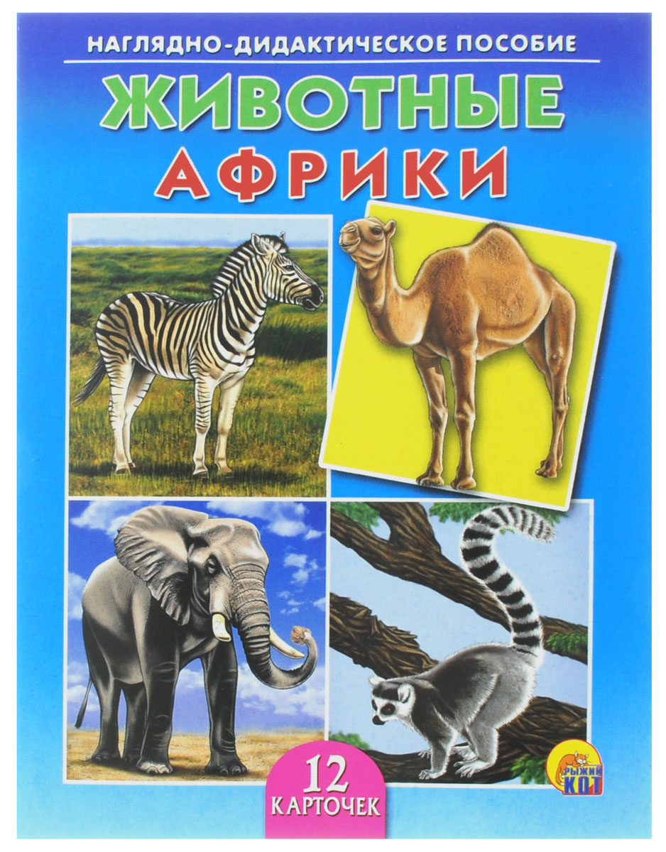 Рыжий Кот Обучающие карточки Животные АфрикиПД-9167 Рыжий Кот Обучающие карточки Животные АфрикиПД-9167Обучающие и развивающие карточки Рыжий Кот Животные Африки из серии Наглядно-дидактическое пособие - незаменимые помощники в обучении детей дошкольного возраста, а также в детских садах и начальных классах школы. Они дают первичные знания об окружающем нас мире. Карточки познакомят детей с разными животными, обитающими в Африке. Серия включает более 40 наименований цветных ярких карточек на разные темы, которые непременно заинтересуют мальчишек и девчонок! Для удобства использования и хранения карточки можно аккуратно отделить от корешка, обрезать край и складывать их в папку-обложку. В комплекте содержится 12 карточек с ярким реалистичным рисунком.