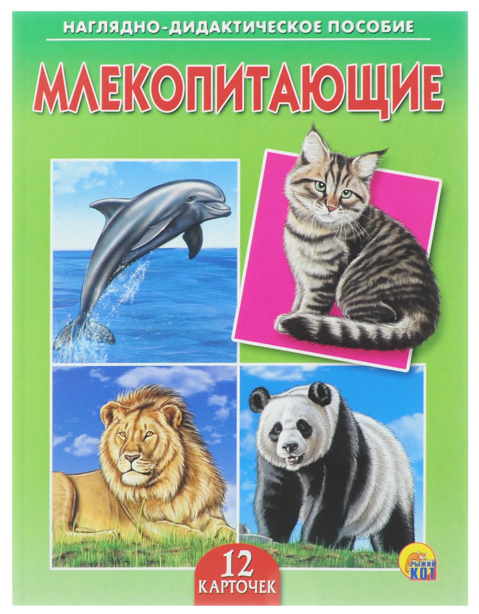 Рыжий Кот Обучающие карточки МлекопитающиеПД-9170 Рыжий Кот Обучающие карточки МлекопитающиеПД-9170Обучающие и развивающие карточки Рыжий Кот Млекопитающие из серии Наглядно-дидактическое пособие - незаменимые помощники в обучении детей дошкольного возраста, а также в детских садах и начальных классах школы. Они дают первичные знания об окружающем нас мире. Карточки познакомят детей с различными видами млекопитающих животных. Серия включает более 40 наименований цветных ярких карточек на разные темы, которые непременно заинтересуют мальчишек и девчонок! Для удобства использования и хранения карточки можно аккуратно отделить от корешка, обрезать край и складывать их в папку-обложку. В комплекте содержится 12 карточек с ярким реалистичным рисунком.