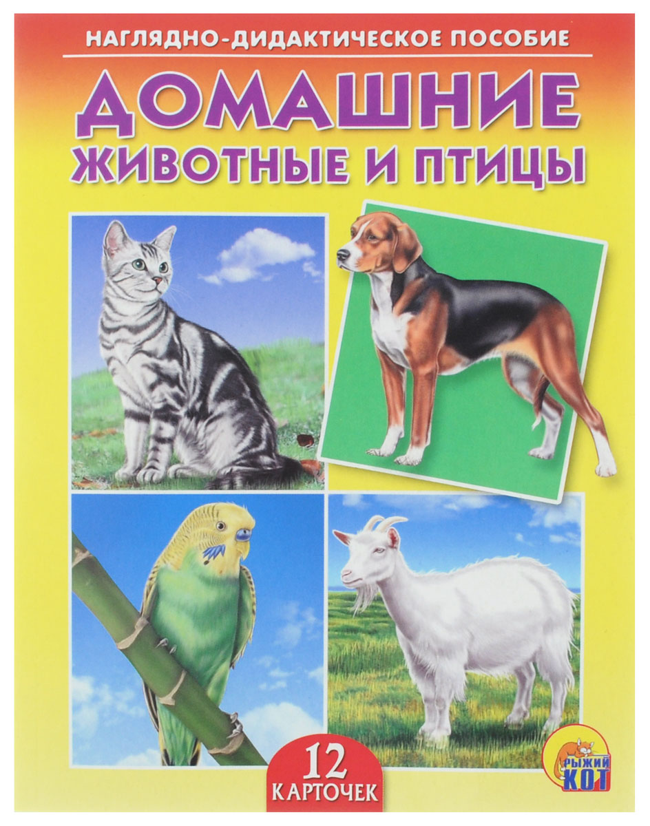 Рыжий Кот Обучающие карточки Домашние животные и птицыПД-6876 Рыжий Кот Обучающие карточки Домашние животные и птицыПД-6876Обучающие и развивающие карточки Рыжий Кот Домашние животные и птицы из серии Наглядно-дидактическое пособие - незаменимые помощники в обучении детей дошкольного возраста, а также в детских садах и начальных классах школы. Они дают первичные знания об окружающем нас мире. Карточки познакомят детей с домашними обитателями - животными и птицами. Серия включает более 40 наименований цветных ярких карточек на разные темы, которые непременно заинтересуют мальчишек и девчонок! Для удобства использования и хранения карточки можно аккуратно отделить от корешка, обрезать край и складывать их в папку-обложку. В комплекте содержится 12 карточек с ярким реалистичным рисунком.