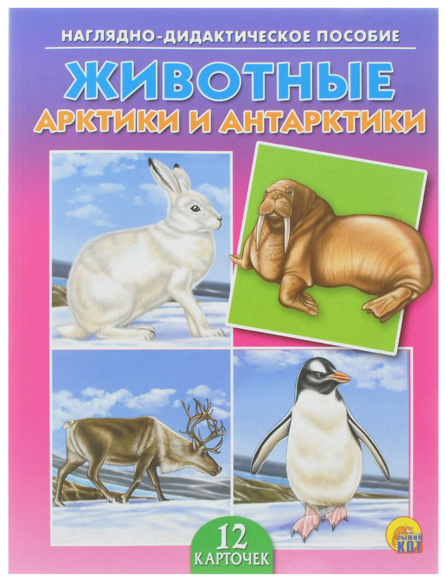 Рыжий Кот Обучающие карточки Животные Арктики и АнтарктикиПД-9166 Рыжий Кот Обучающие карточки Животные Арктики и АнтарктикиПД-9166Обучающие и развивающие карточки Рыжий Кот Животные Арктики и Антарктики из серии Наглядно-дидактическое пособие - незаменимые помощники в обучении детей дошкольного возраста, а также в детских садах и начальных классах школы. Они дают первичные знания об окружающем нас мире. Карточки познакомят детей с животными Арктики и Антарктики. Серия включает более 40 наименований цветных ярких карточек на разные темы, которые непременно заинтересуют мальчишек и девчонок! Для удобства использования и хранения карточки можно аккуратно отделить от корешка, обрезать край и складывать их в папку-обложку. В комплекте 12 карточек.
