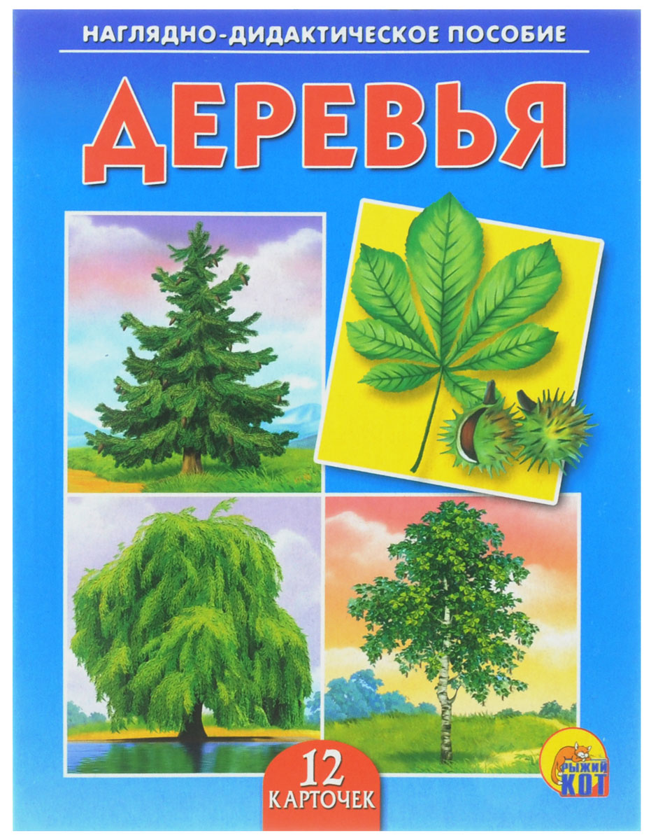 Рыжий Кот Обучающие карточки ДеревьяПД-6875 Рыжий Кот Обучающие карточки ДеревьяПД-6875Обучающие и развивающие карточки Рыжий Кот Деревья из серии Наглядно-дидактическое пособие - незаменимые помощники в обучении детей дошкольного возраста, а также в детских садах и начальных классах школы. Они дают первичные знания об окружающем нас мире. Карточки познакомят детей с различными видами деревьев. Серия включает более 40 наименований цветных ярких карточек на разные темы, которые непременно заинтересуют мальчишек и девчонок! Для удобства использования и хранения карточки можно аккуратно отделить от корешка, обрезать край и складывать их в папку-обложку. В комплекте 12 карточек.