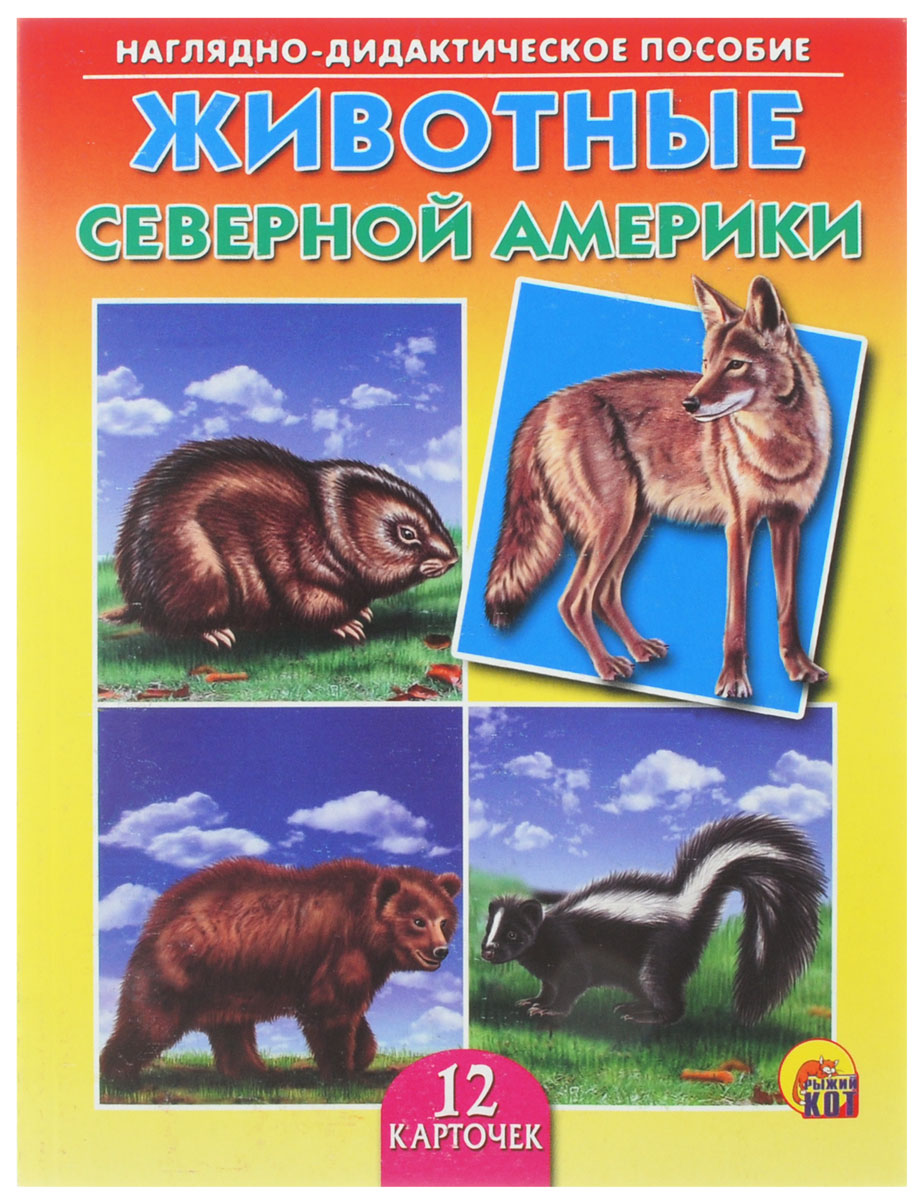 Рыжий Кот Обучающие карточки Животные Северной АмерикиПД-9168 Рыжий Кот Обучающие карточки Животные Северной АмерикиПД-9168Обучающие и развивающие карточки Рыжий Кот Животные Северной Америки из серии Наглядно-дидактическое пособие - незаменимые помощники в обучении детей дошкольного возраста, а также в детских садах и начальных классах школы. Они дают первичные знания об окружающем нас мире. Карточки познакомят детей с различными видами животных, обитающих в Северной Америке. Серия включает более 40 наименований цветных ярких карточек на разные темы, которые непременно заинтересуют мальчишек и девчонок! Для удобства использования и хранения карточки можно аккуратно отделить от корешка, обрезать край и складывать их в папку-обложку. В комплекте 12 карточек.