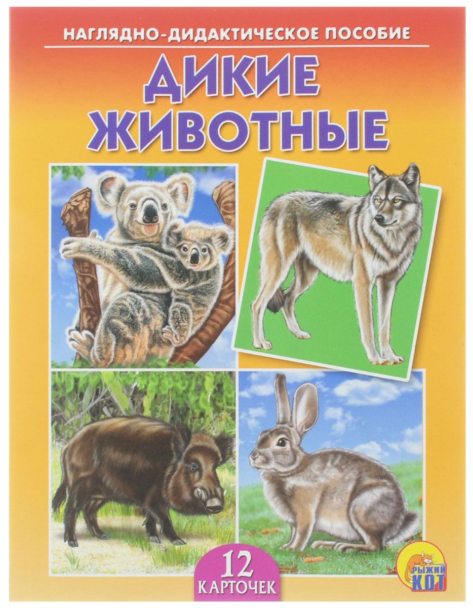 Рыжий Кот Обучающие карточки Дикие животныеПД-7216 Рыжий Кот Обучающие карточки Дикие животныеПД-7216Обучающие и развивающие карточки Рыжий Кот Дикие животные из серии Наглядно-дидактическое пособие - незаменимые помощники в обучении детей дошкольного возраста, а также в детских садах и начальных классах школы. Они дают первичные знания об окружающем нас мире. Карточки познакомят детей с различными видами диких животных. Серия включает более 40 наименований цветных ярких карточек на разные темы, которые непременно заинтересуют мальчишек и девчонок! Для удобства использования и хранения карточки можно аккуратно отделить от корешка, обрезать край и складывать их в папку-обложку. В комплекте 12 карточек.