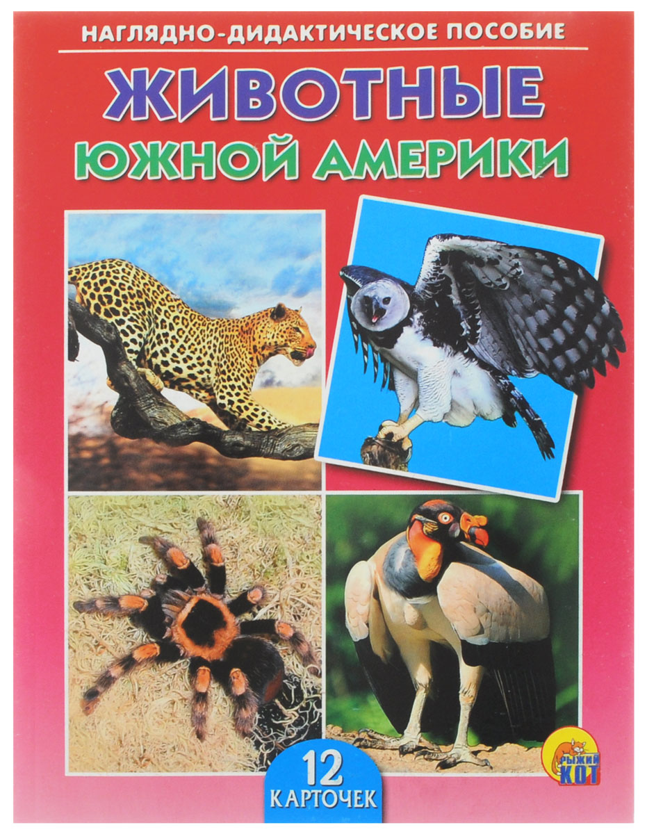 Рыжий Кот Обучающие карточки Животные Южной АмерикиПД-0646 Рыжий Кот Обучающие карточки Животные Южной АмерикиПД-0646Обучающие и развивающие карточки Рыжий Кот Животные Южной Америки из серии Наглядно-дидактическое пособие - незаменимые помощники в обучении детей дошкольного возраста, а также в детских садах и начальных классах школы. Они дают первичные знания об окружающем нас мире. Карточки познакомят детей с разными животными, обитающими в Южной Америке. Серия включает более 40 наименований цветных ярких карточек на разные темы, которые непременно заинтересуют мальчишек и девчонок! Для удобства использования и хранения карточки можно аккуратно отделить от корешка, обрезать край и складывать их в папку-обложку. В комплекте содержится 12 карточек с ярким реалистичным рисунком.