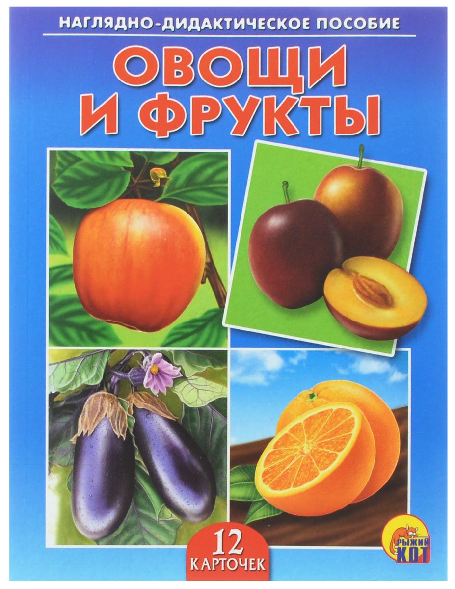 Рыжий Кот Обучающие карточки Овощи и фруктыПД-6877 Рыжий Кот Обучающие карточки Овощи и фруктыПД-6877Обучающие и развивающие карточки Рыжий Кот Овощи и фрукты из серии Наглядно-дидактическое пособие - незаменимые помощники в обучении детей дошкольного возраста, а также в детских садах и начальных классах школы. Они дают первичные знания об окружающем нас мире. Карточки познакомят детей с разными овощами и фруктами, которые человек употребляет в пищу. Серия включает более 40 наименований цветных ярких карточек на разные темы, которые непременно заинтересуют мальчишек и девчонок! Для удобства использования и хранения карточки можно аккуратно отделить от корешка, обрезать край и складывать их в папку-обложку. В комплекте содержится 12 карточек с ярким реалистичным рисунком.