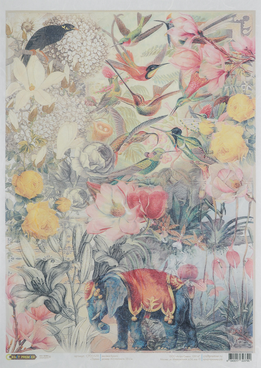 rice paper eden rice paper eden