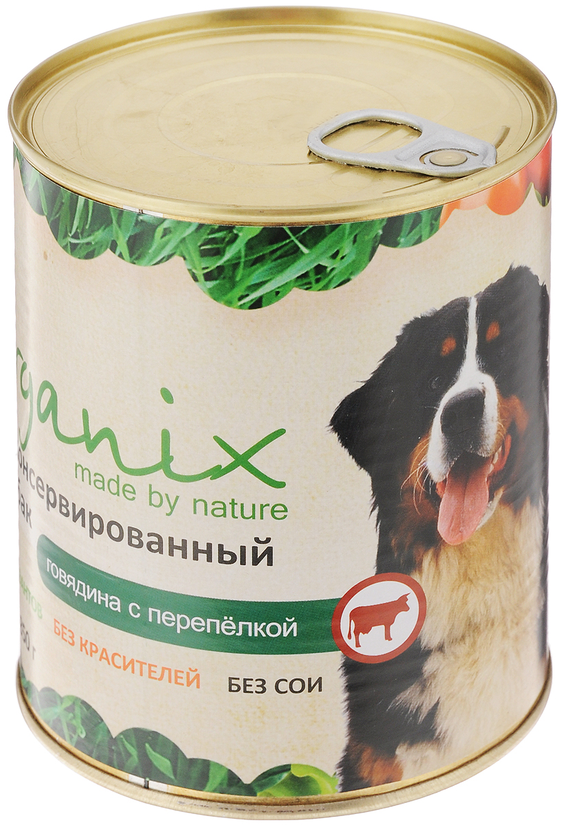 Консервы для собак Organix, говядина с перепелкой, 850 г19671 Консервы для собак Organix, говядина с перепелкой, 850 г19671Консервы для собак Organix - вкусный консервированный корм для собак с говядиной и перепелкой. Изготовлен из 100% свежего мяса различного вида. Не содержит искусственных красителей, ароматизаторов или консервантов, ГМО. Специальная обработка помогает сохранять корм длительное время. Корм приготовлен из тщательно отобранных сортов мяса, которые внесут приятное разнообразие в меню вашей собаки. Корм разработан для обеспечения всех питательных потребностей взрослых собак. Состав: говядина, рубец, мясо перепелок, масло растительное, мука костная, стабилизатор Е472с, соль, вода. Пищевая ценность (в 100 г продукта): белок - не менее 7,0 г, жир - не более 8,0 г. Энергетическая ценность (калорийность): 100 ккал/592 кДж. Товар сертифицирован.