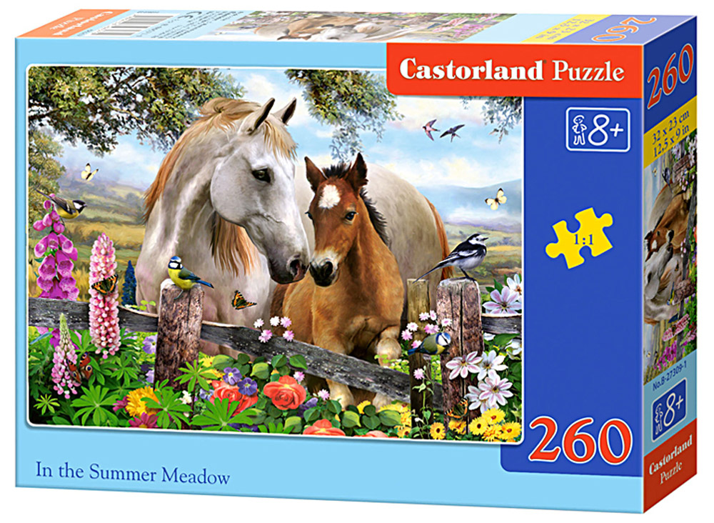 Castorland Пазл ЛошадиB-27309 Castorland Пазл ЛошадиB-27309Пазлы Castorland это - высокий уровень полиграфии, четкие и красочные цвета, продуманные иллюстрации, уникальность формы каждой детали, разнообразие тематик