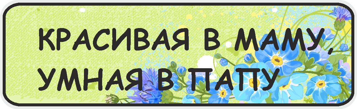 ФигураРоста Номер на коляску Красивая в маму умная в папу04-14-104 ФигураРоста Номер на коляску Красивая в маму умная в папу04-14-104Для мам и их малышей специально разработан декоративный номер на коляску. Номер изготовлен из ПВХ, дополнительно в комплект входят 2 хомута-стяжки, что позволяет легко и быстро прикрепить номер к транспортному средству вашего малыша. Все используемые материалы экологичны и безопасны. Декоративная печать на номер наносится напрямую на пластик. Благодаря этому декоративная табличка устойчива к выцветанию и будет служить вам долгое время.