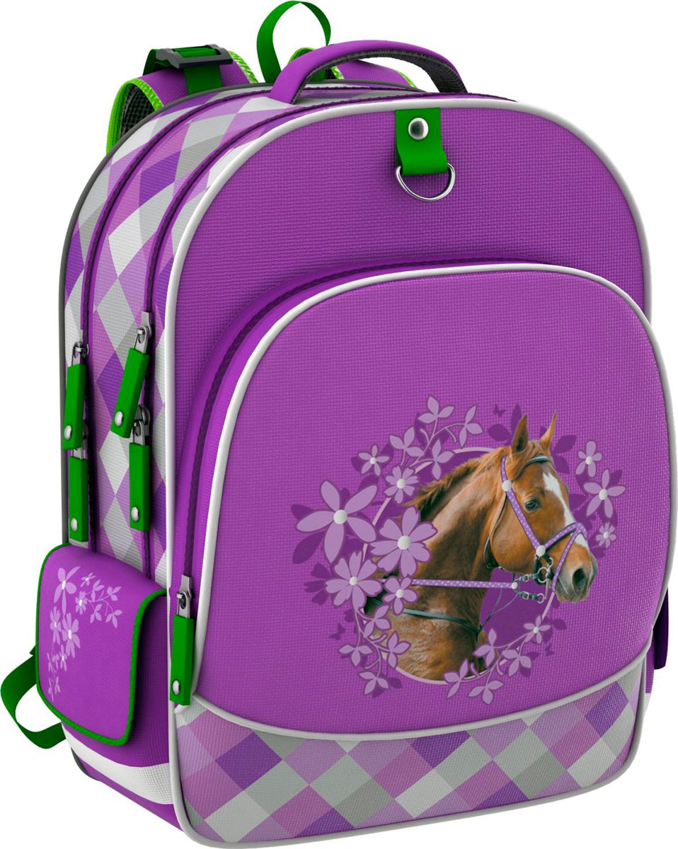 Erich Krause Рюкзак школьный Wild Horse39203 Erich Krause Рюкзак школьный Wild Horse39203Школьный рюкзак из водонепроницаемого материала, вес без наполнения 450 гр, размеры 38*28*14 см. Эргономичная спинка. Дно оснащено пластиковыми ножками. Светоотражающие элементы. Вмещает формат А4+. Рюкзак имеет два внутренних отделения и фронтальный карман на молнии.