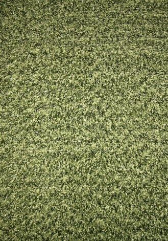 Ковер Oriental Weavers Варна Шаг, цвет: зеленый, 120 х 170 см. 520 G14823 Ковер Oriental Weavers Варна Шаг, цвет: зеленый, 120 х 170 см. 520 G14823Использование нитей двух оттенков придает коврам этой коллекции дополнительный объем и многоцветность. Ковер от известной Египетской фабрики Oriental Weavers подойдет для современных и классических интерьеров.