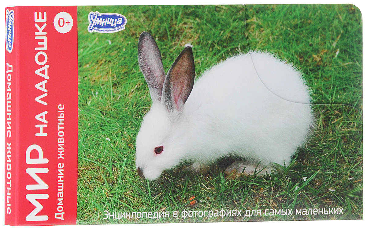 Умница Обучающая игра Домашние животные978-5-91666-065-4 Умница Обучающая игра Домашние животные978-5-91666-065-4Кто спит стоя? Зачем кошке усы? Почему гусь всегда выходит сухим из воды? Мир вокруг намного интереснее, чем кажется на первый взгляд. Комплект Домашние животные расскажет о полезных животных и птицах, без которых невозможно представить себе жизнь человека. Изучать домашних животных очень весело! 24 карточки с яркими фотографиями удобно помещаются в детской ладошке. С ними можно играть в любом месте и в любое время. На обороте карточек собраны самые удивительные факты об окружающем мире. На каждой карточке - игра, творческое задание или загадка! Игры Мир на ладошке развивают образное мышление, воображение, крупную и мелкую моторику. Малыш учится наблюдать, описывать и классифицировать объекты живой и неживой природы.