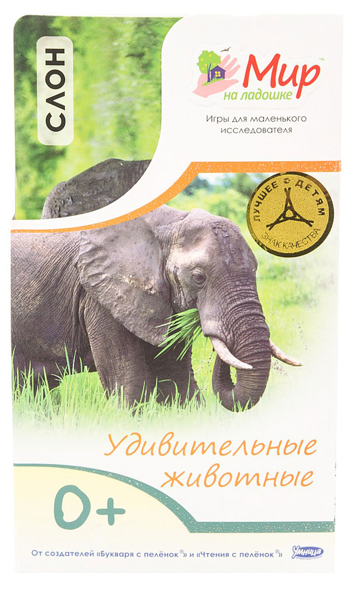 Умница Обучающие карточки Удивительные животные Слон4620755680348 Умница Обучающие карточки Удивительные животные Слон4620755680348Почему зебра полосатая? Кто такой черно-белый котоног? Когда жирафу мешает шея? Маленькому исследователю интересно все! Комплект Умница Удивительные животные. Слон познакомит малыша с самыми красивыми и необычными животными нашей планеты. Изучать животных так увлекательно! Можно попрыгать, как кенгуру, порычать, как лев, и пошалить, как обезьянка! Карточки с яркими фотографиями удобно умещаются в детской ладошке. С ними можно играть в любом месте и в любое время. На обороте карточек собраны самые удивительные факты об окружающем мире. В комплект также входит карточка для родителей с методическими рекомендациями и правилами игры. В игре малыш учится наблюдать, анализировать, описывать и классифицировать объекты живой и неживой природы. Интересные творческие задания помогают развивать воображение, образное мышление и моторику.