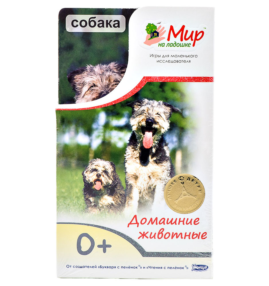 Умница Обучающие карточки Домашние животные Собака978-5-91666-065-4 Умница Обучающие карточки Домашние животные Собака978-5-91666-065-4Кто спит стоя? Зачем кошке усы? Почему гусь всегда выходит сухим из воды? Мир вокруг намного интереснее, чем кажется на первый взгляд. Комплект Домашние животные расскажет о полезных животных и птицах, без которых невозможно представить себе жизнь человека. Изучать домашних животных очень весело! Можно походить, как уточка, погрызть морковку, как кролик и потопать ножкой, как козочка! Ламинированные карточки с яркими фотографиями удобно умещаются в детской ладошке. С ними можно играть в любом месте и в любое время. На обороте карточек собраны самые удивительные факты об окружающем мире. В комплект входит карточка для родителей с методическими рекомендациями и правилами игры. В игре малыш учится наблюдать, анализировать, описывать и классифицировать объекты живой и неживой природы. Интересные творческие задания помогают развивать воображение, образное мышление и моторику.