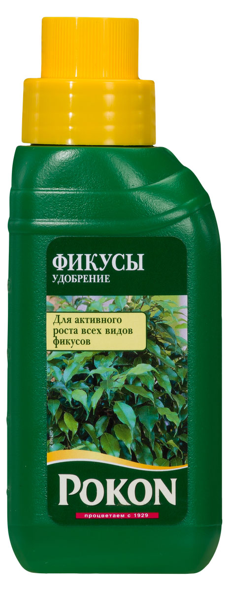 Удобрение Pokon для фикусов, 250 мл8719400007848 Удобрение Pokon для фикусов, 250 мл8719400007848Pokon удобрение для фикусов. Фикусы — это сильные растения. В дикой природе они могут жить до 500 лет. Но при их выращивании в помещениях условия сильно отличаются от природных. Поэтому используйте специальное удобрение для фикусов, чтобы сохранить их сильными и здоровыми.