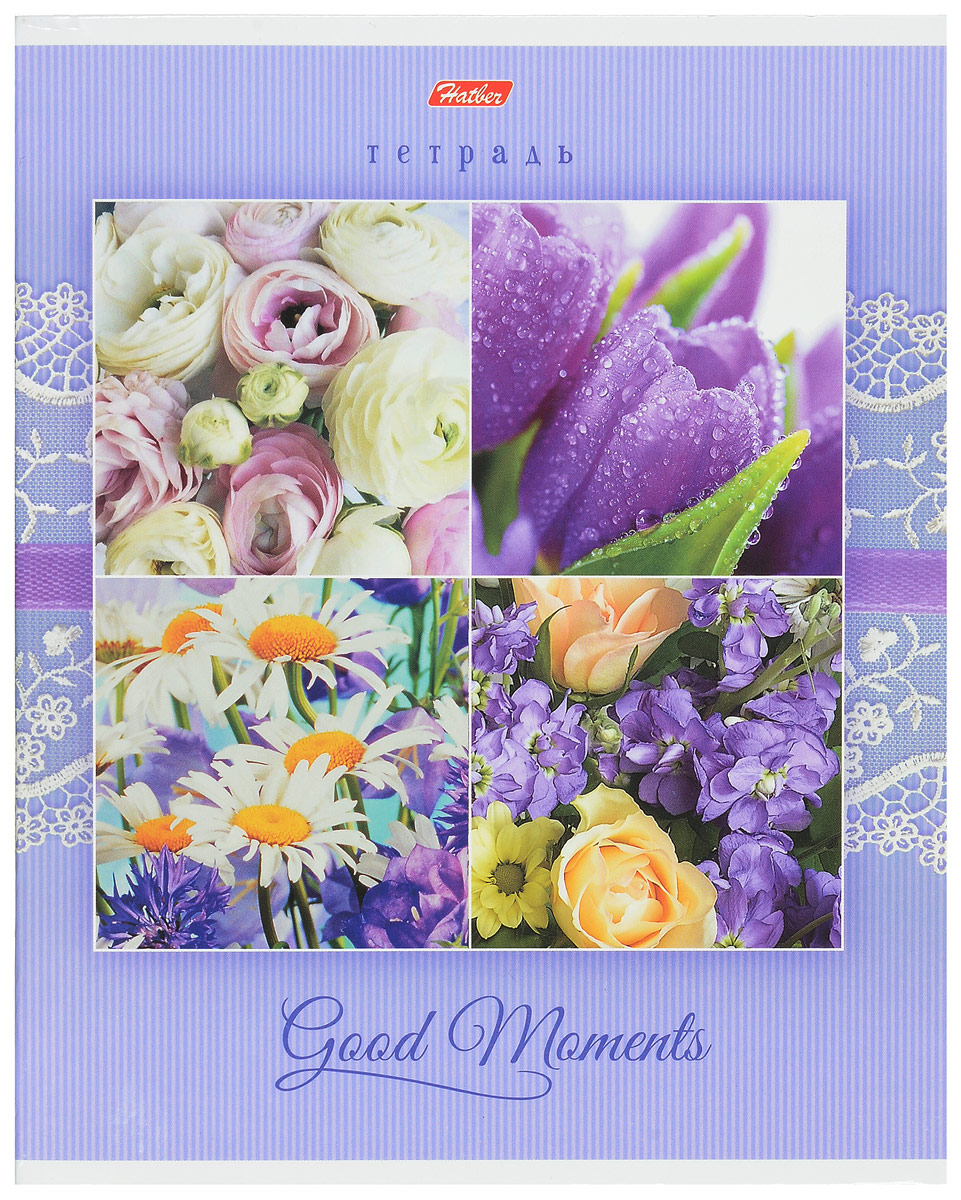 Hatber Тетрадь Good Moments 80 листов в клетку цвет фиолетовый светло-синий80Т5В1_14998 Hatber Тетрадь Good Moments 80 листов в клетку цвет фиолетовый светло-синий80Т5В1_14998Тетрадь Hatber Good Moments отлично подойдет для старших школьников, студентов и офисных работников. Обложка оформлена изображением благоухающих цветов и красивых букетов. Тетрадь, оформленная в пастельных тонах, дарит возвышенное и теплое настроение. Внутренний блок тетради, соединенный двумя металлическими скрепками, состоит из 80 листов белой бумаги. Стандартная линовка в клетку голубого цвета дополнена красными полями.