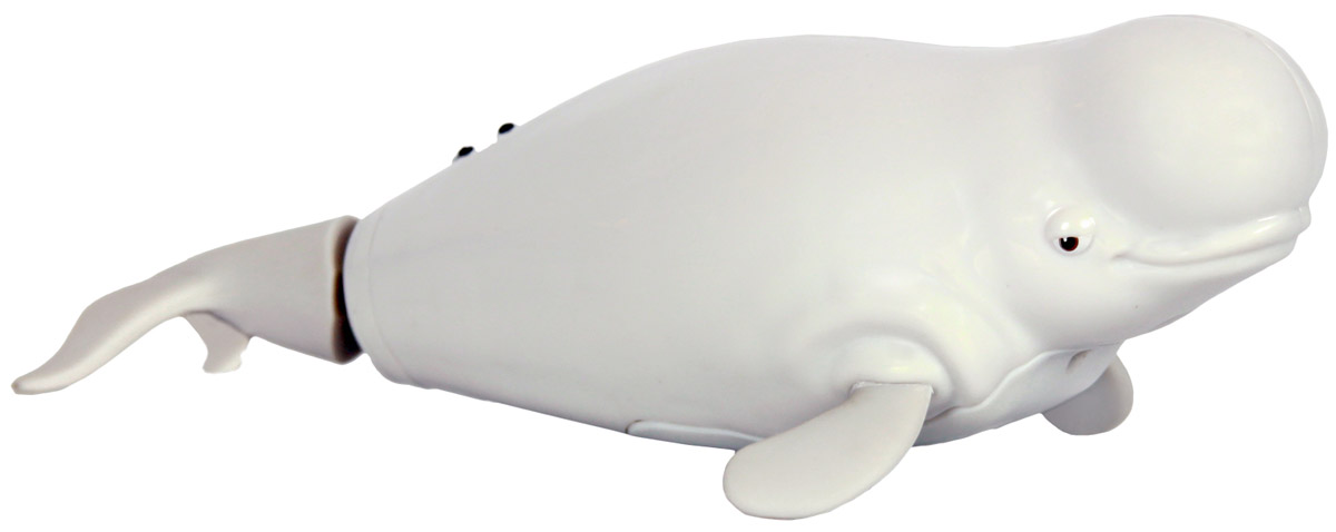 Dory Робот Кит Бейли25184 Dory Робот Кит Бейли25184 В поисках Дори! Бейли - герой продолжения известного мультфильма В поисках Немо, . При соприкосновении с водой игрушка начинают плавать. В отличии от других роборыбок, имеет больший размер (193мм) и ныряет на глубину до 2-х метров. В целях экономии энергии Бейли автоматически отключается через 4 минуты. Для активации игрушки вытащите ее из воды на несколько секунд и запустите снова в воду. Игрушка работает от одной ААА батарейки (входит в комплект).