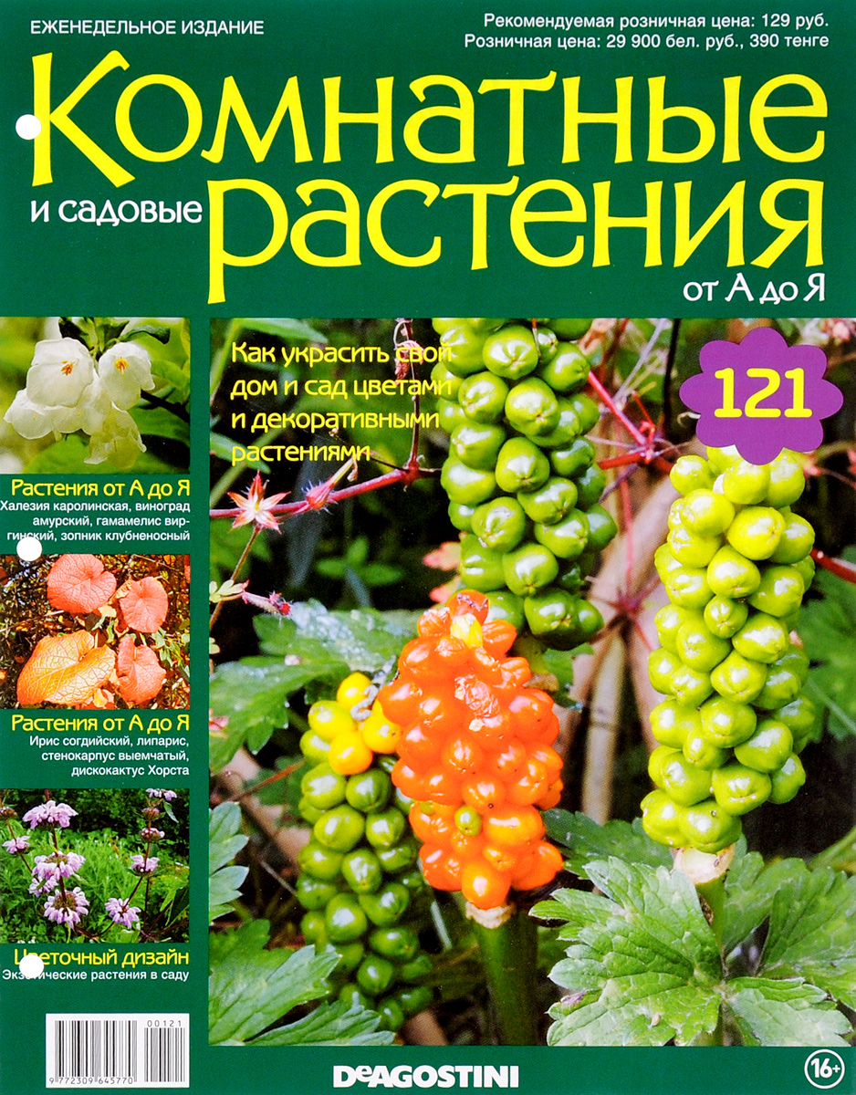 Журнал Комнатные и садовые растения. От А до Я №121VRD121 Журнал Комнатные и садовые растения. От А до Я №121VRD121Хотите сделать приятный и полезный подарок людям, увлекающимся цветоводством, или углубить собственные познания в этой сфере? Коллекция журналов Комнатные и садовые растения. От А до Я поможет вам в этом. Из журнала вы узнаете, как украсить свой дом и сад цветами и декоративными растениями. Категория 16+.