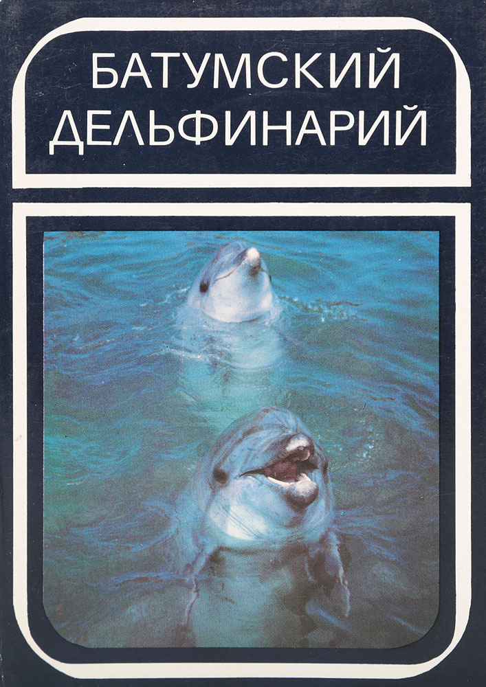 Батумский дельфинарий. Комплект из 18 открытокНВА-2 2508 16-39 Батумский дельфинарий. Комплект из 18 открытокНВА-2 2508 16-39Комплект из 18 открыток Батумский дельфинарий в оригинальном конверте. Издательство Планета. СССР, 1980 год. Размер открыток: 15 х 10.5 см. Сохранность хорошая.