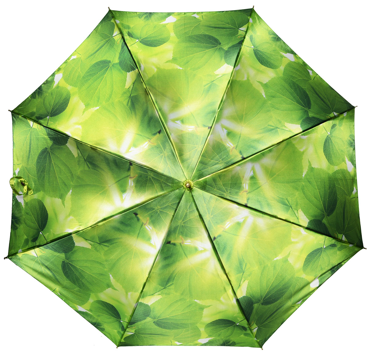 Зонт женский Henry Backer, цвет: зеленый. U11202 Summer leavesU11202 Summer leaves Зонт женский Henry Backer, цвет: зеленый. U11202 Summer leavesU11202 Summer leavesЖенский зонт-трость «Летние листья» с сатиновым куполом, зеленый, автомат Удивительно приятный зонт. Ветроустойчивый каркас выполнен из стали и фибергласса.
