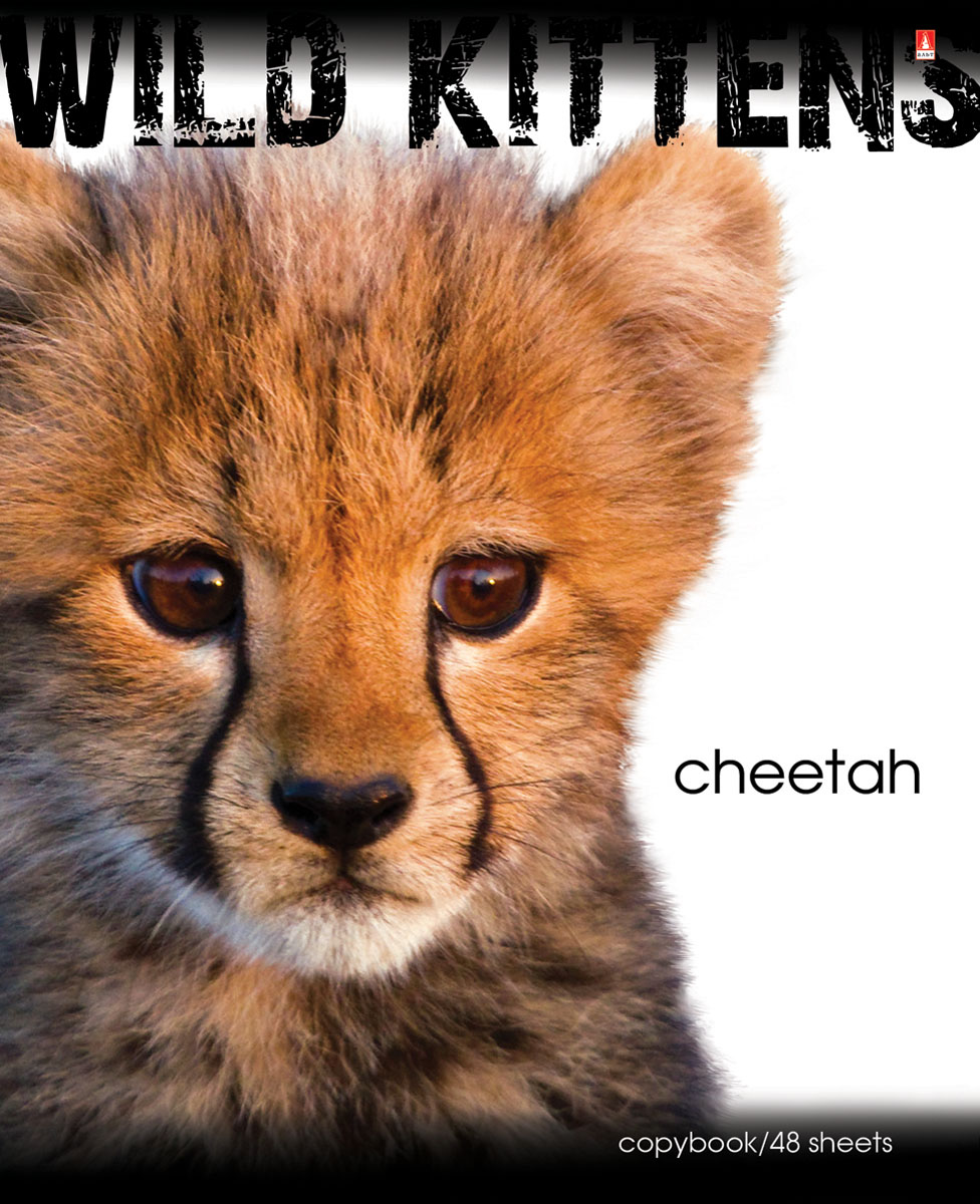 Альт Тетрадь Cheetah 48 листов в клетку7-48-188 Альт Тетрадь Cheetah 48 листов в клетку7-48-188Тетрадь Альт Cheetah подойдет студенту и школьнику. Любимы и популярны у школьников всех возрастов яркие тетради с представителями живой природы. Новая серия тетрадей посвящена хищным животным из семейства кошачьих - опасным и одновременно прекрасным. Красочная обложка тетради с закругленными углами выполнена из картона и дополнена изображением гепарда. Внутренний блок тетради состоит из 48 листов белой бумаги, соединенных двумя металлическими скрепками. Стандартная линовка в клетку голубого цвета дополнена полями.