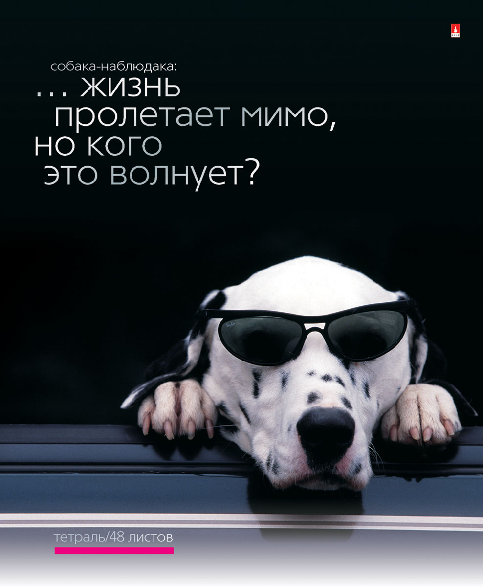 Альт Тетрадь Приколы Собаки 48 листов в клетку Вид 27-48-696 Альт Тетрадь Приколы Собаки 48 листов в клетку Вид 27-48-696Тетрадь из серии Приколы. Собаки прекрасно подойдет для учащихся средних и старших классов. Тетрадь формата А5 в двойной обложке из качественного картона. Благодаря закругленным краям исключаются заломы страниц. Вторая обложка содержит поле для личных данных школьника, а полноцветные форзацы продолжают общее оформление серии. Тетрадь выглядит стильно и эффектно за счет полиграфической отделки. Внутренний блок состоит из 48 листов. Бумага отличается белизной и гладкостью, обладает плотностью 60 грамм, не просвечивает чернила. Все страницы разлинованы в клетку и дополнены красными полями. Серия Приколы. Собаки с забавными портретами собак, сопровождающиеся шутливыми надписями, отражают реалии и будни жизни собачьей. Шокированные, вальяжные, целеустремлённые, удивленные, виноватые - весь спектр эмоций демонстрируют на обложках любимые четвероногие друзья.