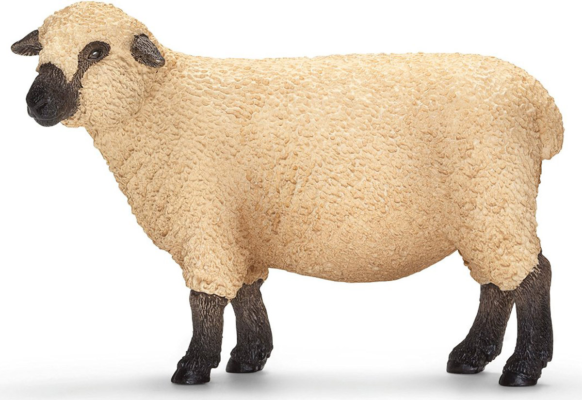 Schleich Фигурка Шропширская овца13681 Schleich Фигурка Шропширская овца13681Шропширская овца принадлежит к старой английской породе симпатичных овец, покрытых густой светлой шерстью. Темные ушки, коричневые ноги и мордочка с высокой точностью передают отличительные черты животного, которые достигнуты за счет ручной окраски игрушки. С помощью фигурки Schleich Шропширская овца ребенок сможет дополнить свою ферму со скотным двором. Выдумывая сюжетно-ролевые игры, малыш развивает воображение и осваивает новые социальные взаимоотношения.