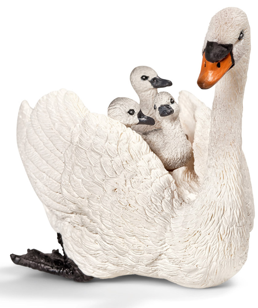 Schleich Фигурка Самка лебедя-шипуна с птенцами13718 Schleich Фигурка Самка лебедя-шипуна с птенцами13718Белый лебедь - одна из самых крупных птиц, умеющих летать. Лебедь очень любит своих птенцов, поэтому если им угрожает опасность, он сажает своих детенышей себе на спину. Белого лебедя называют лебедь-шипун, считается, что эти птицы не обладают такими вокальными данными как остальные особи семейства лебедей. Фигурка Schleich Самка лебедя-шипуна с птенцами выполнена из каучукового пластика и раскрашена вручную. Фигурка разработана с учетом исследований в области педагогики и производится как настоящее произведение для маленьких детских ручек.