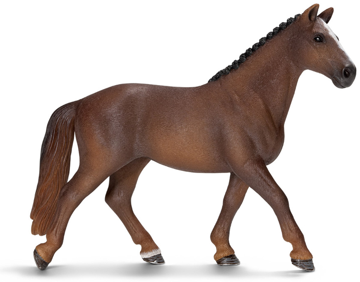 Schleich Фигурка Ганноверская кобыла13729 Schleich Фигурка Ганноверская кобыла13729Ганноверская кобыла из благородной спортивной породы лошадей разводится в Германии с 1735 года. Она превосходно подходит для выездки и конкура. Ганноверская лошадь считается самой способной в обучении, эти лошади самые понятливые, внимательные и уравновешенные. Великолепно выполненная и раскрашенная вручную фигурка Schleich Ганноверская кобыла, созданная при тесном сотрудничестве с Берлинским зоопарком, никого не оставит равнодушным.