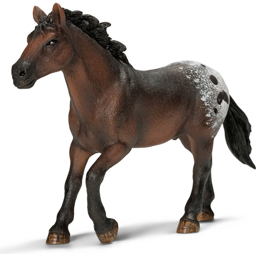 Schleich Фигурка Аппалузский жеребец13732 Schleich Фигурка Аппалузский жеребец13732Жеребец породы Аппалуза в забавную крапинку происходит от испанского коня, завезенного в Северную Америку в 18 веке. У этих лошадей очень сильная спина, а потому они невероятно быстрые и проворные. Фигурки Schleich выполнены из безопасного для здоровья детей каучукового пластика с максимальной точностью, каждая фигурка раскрашивается вручную. Реалистичные фигурки детально точно воспроизводят настоящих животных, обитателей различных стран. Ребенок сможет изучать особенности их строения, поведения и питания. Фигурки Schleich - превосходный педагогический материал для использования дома и в образовательных учреждениях.