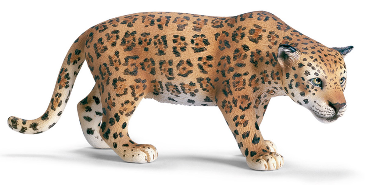 Schleich Фигурка Ягуар14359 Schleich Фигурка Ягуар14359Ягуар относится к семейству кошачьих, третий самый крупный представитель этого семейства. Обитает в Северной и Южной Америке. Ягуар предпочитает жить один, у каждой особи своя территория, которая может достигать 100 квадратных километров. На охоту ягуар выходит в сумеречное время, утром и вечером. Охотится на различных парнокопытных, также на птиц, змей, лисиц и даже черепах. Фигурка Schleich Ягуар, раскрашенная вручную, выполнена из безопасного материала - пластика. Компания Schleich специализируется на выпуске детских игрушек, знакомящих с окружающей средой, развивающих творческое мышление, мелкую моторику рук.
