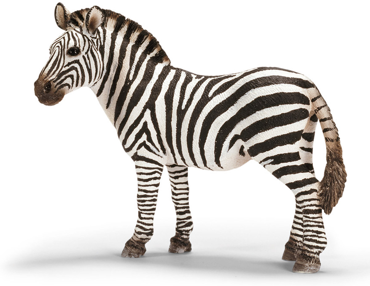 Schleich Фигурка Кобыла зебры14392 Schleich Фигурка Кобыла зебры14392Зебры - травоядные животные, они любят кушать травку и лакомиться низкими кустарниками. Иногда ради сочной травы и зеленых веточек, им приходится преодолевать огромные расстояния. Вечером после жаркого дня все животные собираются у водопоя. Белые полоски на черном фоне не только выделяют зебру среди остальных обитателей африканской саванны, но и маскируют ее от недоброжелателей. Может показаться, что она излишне необычно выглядит и привлекает своим внешним видом хищников: львов и быстрых гепардов. Но наоборот, многие животные, в том числе и насекомые, не замечают монотонную окраску зебры, поэтому и не кусают. Фигурка Schleich Кобыла зебры выполнена из высококачественного каучукового пластика, не вызывающего аллергии. Можно собрать всех диких животных, проживающих на территории африканских стран. Поселить у себя дома семью зебр и создать для них маленький уютный уголок в импровизированной саванне. Работа над игрушками Schleich ведется совместно с...