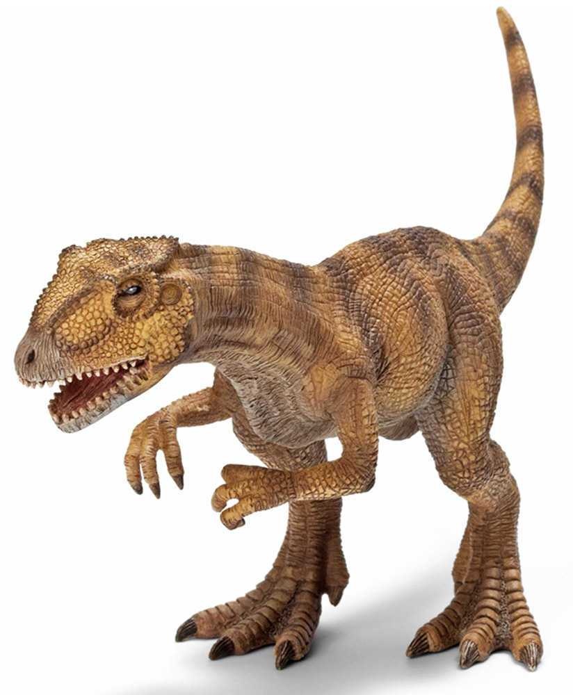 Schleich Фигурка Аллозавр14513 Schleich Фигурка Аллозавр14513Аллозавры были достаточно крупными животными, достигавшими в длину в среднем семи метров. Особи аллозавра имели очень большой и крепкий череп, оснащенный несколькими десятками очень острых зубов, тяжелый длинный хвост, а на сравнительно небольших коротких передних лапах располагались по три крупных загнутых когтя. Аллозавры - хищные животные, которые обычно охотились стаями, передвигаясь на двух мощных задних ногах. Аллозавры - это доисторические животные из рода ящеротазовых динозавров. Эти динозавры жили в доисторические времена в юрском периоде. В переводе с латинского языка Allosaurus означает иной ящер. Фигурка Schleich Аллозавр имеет подвижную нижнюю челюсть.