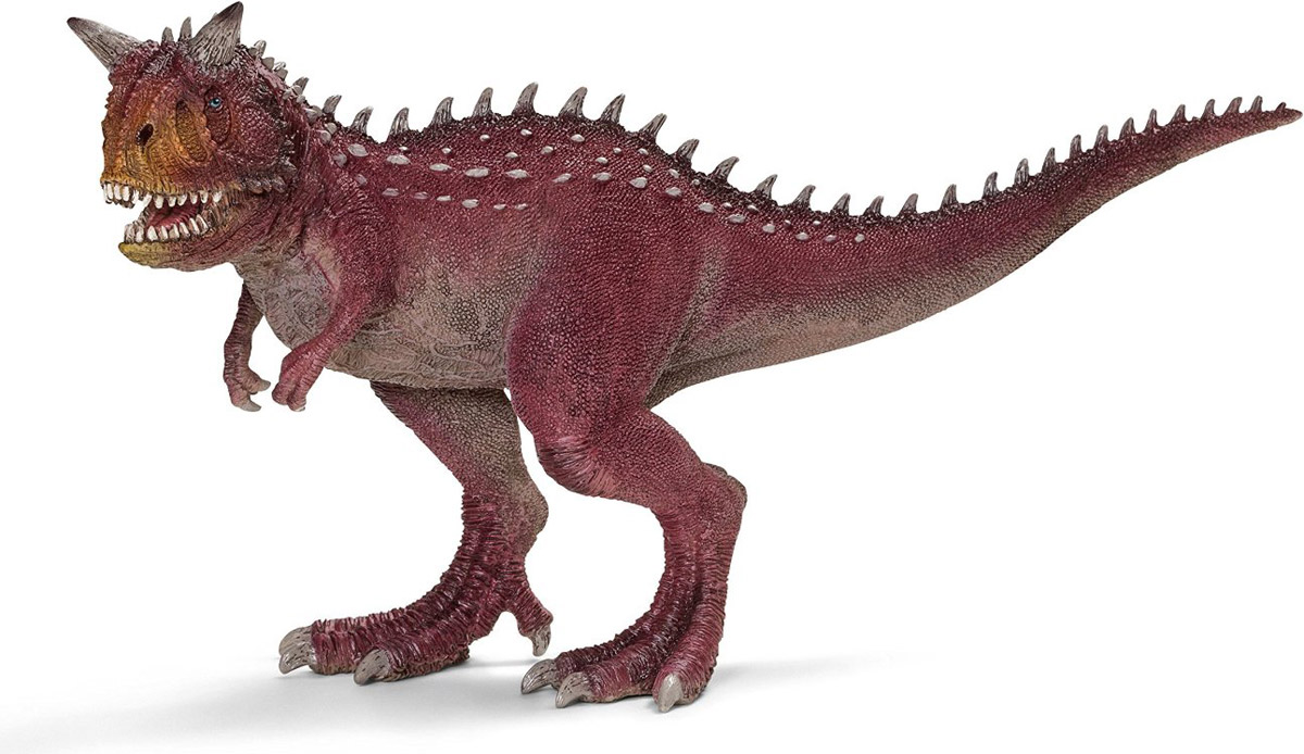 Schleich Фигурка Карнотавр14527 Schleich Фигурка Карнотавр14527Карнотавр - хищный плотоядный динозавр. Он передвигался на сильных задних конечностях, имел челюсти, полные острых, длинных зубов. Карнотавр обитал во времена Мелового периода около 70 миллионов лет назад. Этот динозавр достигал длины до 9 метров и весил от 1,5 до 2 тонн. Несомненно, карнотавр был одним из самых опасных хищников своего времени. Фигурка Schleich Карнотавр, раскрашенная вручную, изготовлена из безопасного материала - каучукового пластика. Игрушка развивает творческое мышление, мелкую моторику рук. У фигурки динозавра подвижная нижняя челюсть.