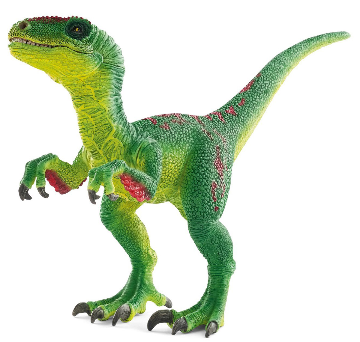 Schleich Фигурка Велоцираптор 1453014530 Schleich Фигурка Велоцираптор 1453014530Велоцираптор - древнее животное, проживавшее на земле в доисторический период. Быстрый и ловкий динозавр не отличался внушительными размерами, но у него были мощные и довольно острые зубы и когти, которые помогали ему добывать пищу и обороняться. Изящный динозавр зеленого цвета, стоящий на задних лапах, станет достойным пополнением уникальной коллекции фигурок Schleich. У фигурки подвижная нижняя челюсть и передние лапы, что позволяет устраивать увлекательные игры с забавными существами. Фигурка Schleich Велоцираптор приятна на ощупь, выполнена из качественного каучукового пластика.