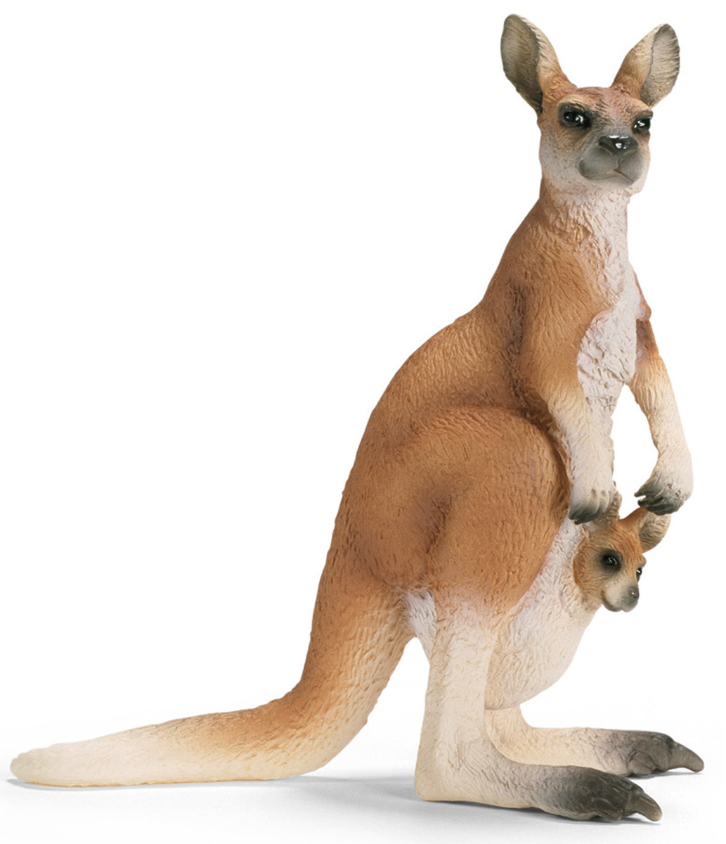 Schleich Фигурка Кенгуру с детенышем14603 Schleich Фигурка Кенгуру с детенышем14603Фигурка Schleich Кенгуру с детенышем порадует вашего малыша и подарит ему много интересных игр. Игрушка выполнена с детальной точностью и раскрашена вручную с учетом нюансов строения тела и окраски каждого вида. Работа над игрушками ведется совместно с Берлинским зоопарком, что обеспечивает превосходное сходство фигурок с настоящими представителями животного мира. Кенгуру живет в далекой Австралии. Необычные животные стали героями мультфильмов и детских сказок. Прыгающий зверек с сумкой на животе очень нравится детям. У кенгуру мощные задние ноги и массивный хвост. Передние лапы маленькие, но подвижные, ими он выкапывает клубни и корни растений, заботится о потомстве. Маленький кенгуренок, рождаясь, прячется в сумку мамы и оттуда наблюдает за происходящим в мире. Детеныш кенгуру рождается весом меньше грамма, перебирается в эластичную сумку и активно питается там молоком. Для активного роста и укрепления тела кенгуру вырабатывает для малышей несколько видов молока. Кенгуру...