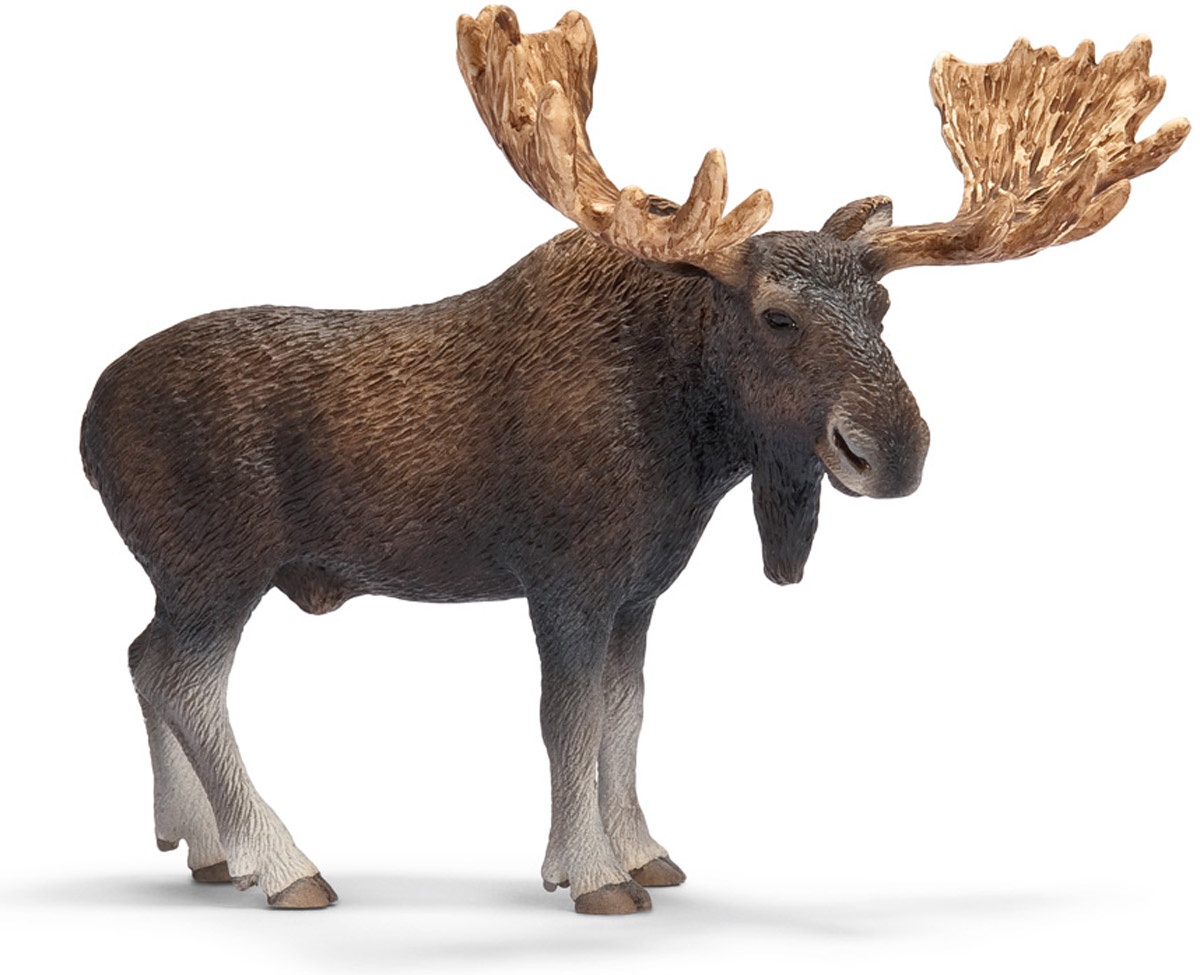 Schleich Фигурка Американский лось14619 Schleich Фигурка Американский лось14619Фигурка Schleich Американский лось, раскрашенная вручную, выполнена из безопасного материала - пластика. Компания Schleich специализируется на выпуске детских игрушек, знакомящих с окружающей средой, развивающих творческое мышление, мелкую моторику рук. Реалистичные фигурки Schleich детально точно воспроизводят настоящих животных, обитателей различных стран. Ребенок сможет изучать особенности их строения, поведения и питания. Фигурки Schleich - превосходный педагогический материал для использования дома и в образовательных учреждениях.