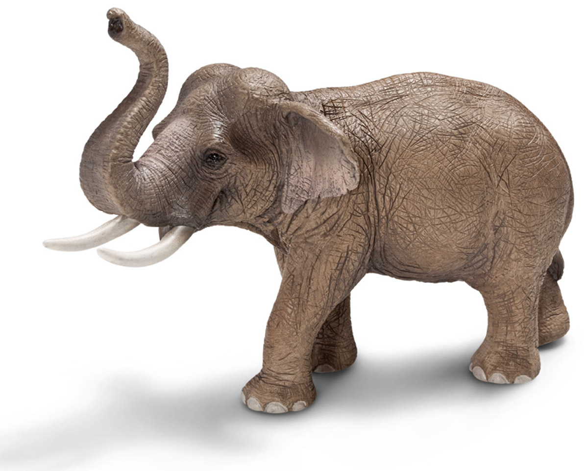 Schleich Фигурка Азиатский слон14653 Schleich Фигурка Азиатский слон14653Азиатский слон - животное, которое прекрасно приручается, слонов часто используют в качестве рабочей силы. Азиатские слоны живут в семейных группах, которые составляют от двух до десяти слонов. Считается, что слоны способны сопереживать своим соплеменникам, хранить воспоминания о том, когда бывает засуха, или о том, где расположено хорошее пастбище. Фигурка Schleich Азиатский слон выполнена из каучукового пластика с максимальной точностью, фигурка раскрашивалась вручную.