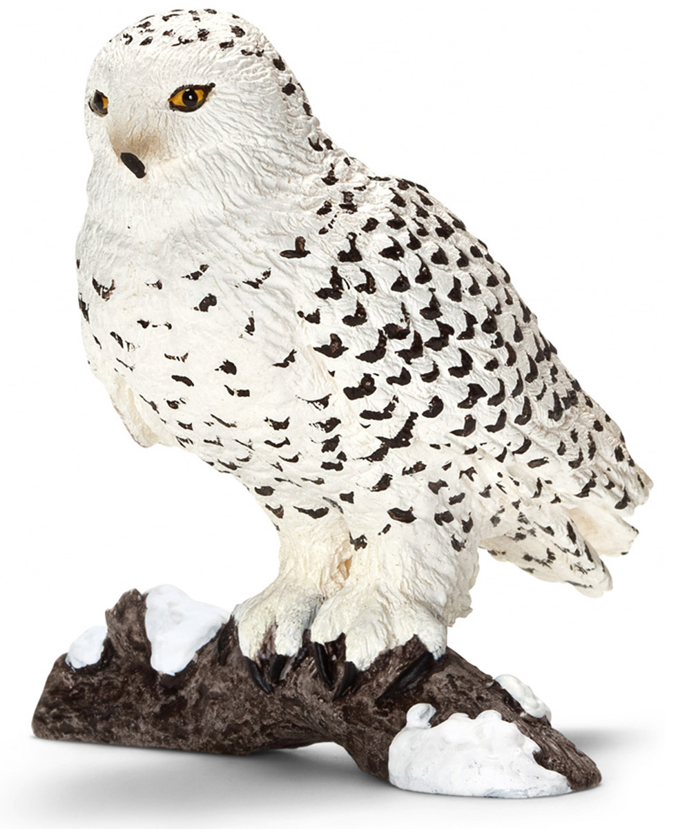 Schleich Фигурка Полярная сова14671 Schleich Фигурка Полярная сова14671Фигурка Schleich Полярная сова порадует всех любителей животных и станет замечательным подарком или уникальным дополнением коллекции миниатюрных игрушек. Фигурка раскрашивается вручную с особенной детальной прорисовкой. Очаровательная белоснежная сова с вкраплениями черных перьев по всему телу расположилась на заснеженной веточке. У нее острый клюв и зоркие глаза, цепкие когти спрятаны под пышным оперением. Фигурка Schleich Полярная сова познакомит вашего ребенка с птицами и животными дикой природы. Все фигурки прекрасно сочетаются с другими игрушками и являются отличным обучающим материалом для детей.