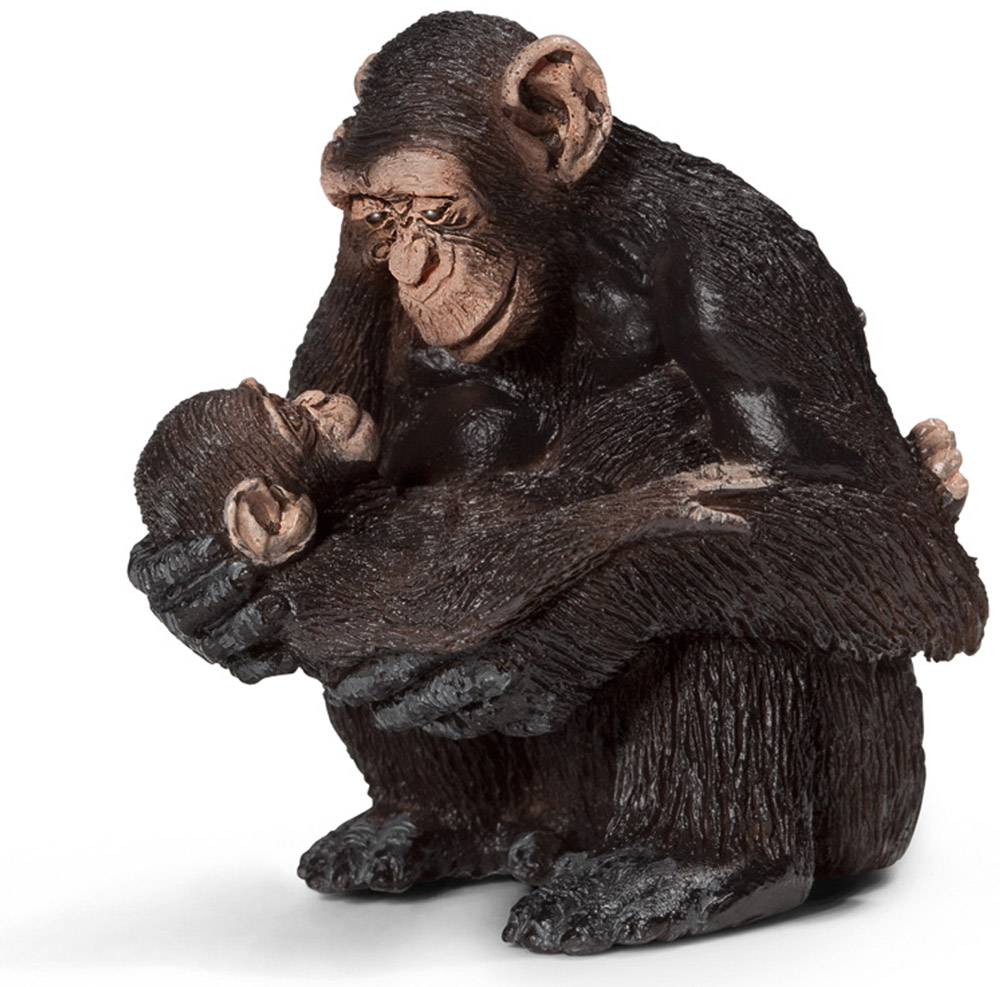 Schleich Фигурка Самка шимпанзе с детенышем14679 Schleich Фигурка Самка шимпанзе с детенышем14679Обыкновенные шимпанзе живут в сообществах, которые типично колеблются от 20 и более чем до 150 особей. Они живут и на деревьях и на земле равное время. Их обычная походка является четвероногой, используя подошвы ног и опоры на суставы рук, но они могут идти и вертикально на короткие расстояния. Ночь проводят в гнездах на деревьях, гнезда каждый вечер строят заново. Шимпанзе всеядное животное. Фигурка Schleich Самка шимпанзе с детенышем, раскрашенная вручную, выполнена из безопасного материала - пластика. Компания Schleich специализируется на выпуске детских игрушек, знакомящих с окружающей средой, развивающих творческое мышление, мелкую моторику рук.