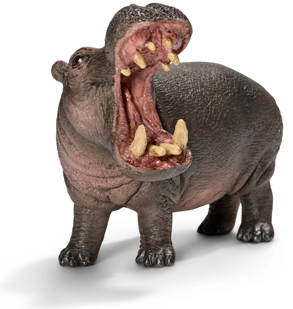 Schleich Фигурка Бегемот14681 Schleich Фигурка Бегемот14681Бегемот - млекопитающее из отряда парнокопытных. Единственный в своем роде вид. Бегемот ведет очень интересный полуводный образ жизни. Практически все время он проводит в воде. И только в темное время суток на несколько часов выходит на сушу для кормежки. Обитает бегемот исключительно в пресных водоемах. Вес взрослого бегемота может составлять 4 тонны, что делает его вторым самым большим наземным животным. Фигурка Schleich Бегемот, раскрашенная вручную, выполнена из безопасного материала - пластика. Компания Schleich специализируется на выпуске детских игрушек, знакомящих с окружающей средой, развивающих творческое мышление, мелкую моторику рук.