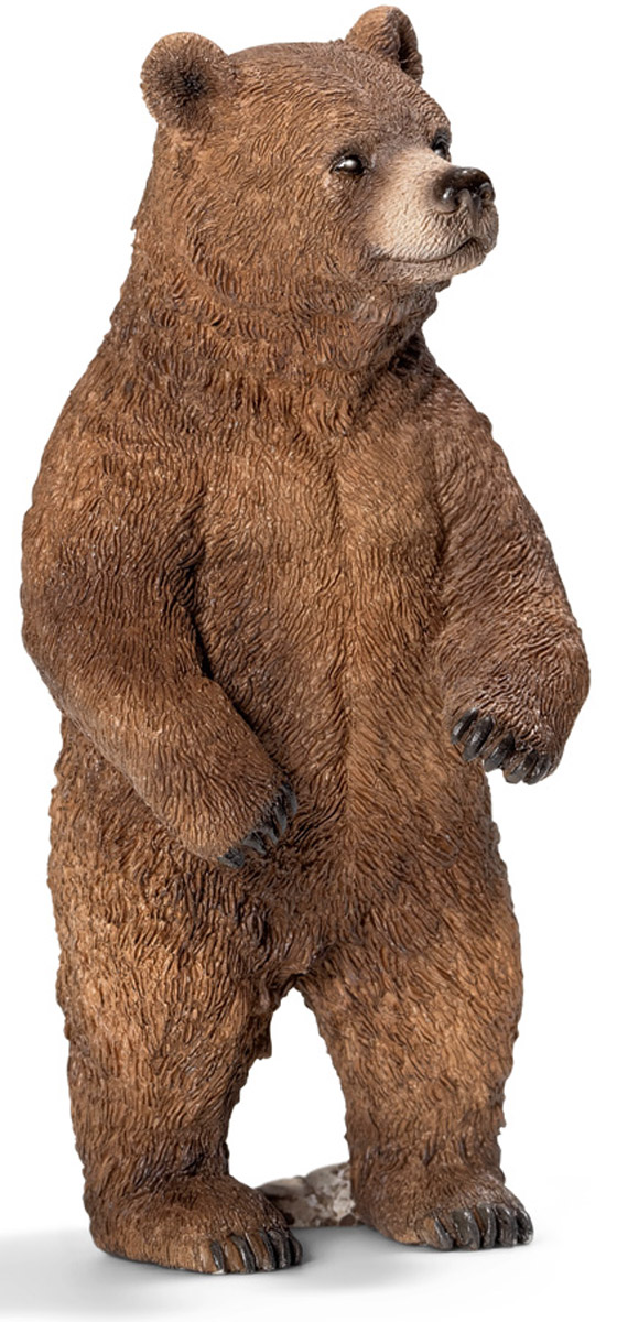 Schleich Фигурка Медведица гризли14686 Schleich Фигурка Медведица гризли14686Гризли самка отличается от самца меньшими размерами, более светлым окрасом шерсти. Но, несмотря на это, представляет не меньшую опасность, чем самец. Самка может лазать по деревьям только в детском возрасте, пока не вырастут когти. Фигурка Schleich Медведица гризли прекрасно разнообразит игру вашего ребенка и станет отличным пополнением коллекции его фигурок. Все фигурки Schleich изготовлены из гипоаллергенных высокотехнологичных материалов, раскрашены вручную и не вызывают аллергии у ребенка. Прекрасно выполненные фигурки отличаются высочайшим качеством игрушек ручной работы. Все они создаются при постоянном сотрудничестве с Берлинским зоопарком, а потому являются максимально точной копией настоящих животных. Каждая фигурка разработана с учетом исследований в области педагогики и производится как настоящее произведение для маленьких детских ручек.