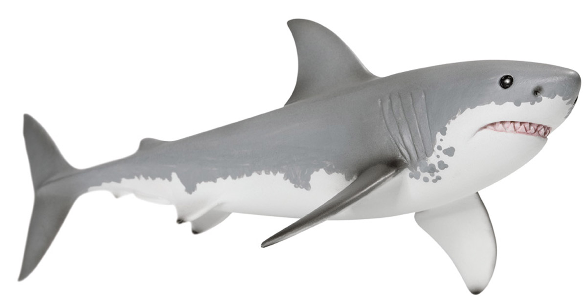 Schleich Фигурка Белая акула14700 Schleich Фигурка Белая акула14700Ни одно из мест обитания не обладает таким разнообразием видов, как океаны нашей планеты. Здесь проживает множество необыкновенных животных, от морских коньков до громадных синих китов. Большие белые акулы - крупнейшие в мире хищные акулы, они нападают на своих жертв из морских глубин. Эти глубоководные хищники могут достигать в длину до девяти метров и весить более двух тонн. Белая акула питается рыбой, ластоногими, осьминогами и морскими черепахами. Белые акулы являются не только крупнейшими хищниками, но они также одни из самых быстрых рыб в океане, эти акулы могут плавать до 32 км в час. У акулы для охоты на свою добычу есть 50 острых зубов, старые зубы выпадают, и на их месте вырастают новые, острые, как бритва зубы. Фигурка Schleich Белая акула, раскрашенная вручную, выполнена из безопасного материала - пластика. Компания Schleich специализируется на выпуске детских игрушек, знакомящих с окружающей средой, развивающих творческое мышление, мелкую моторику рук.